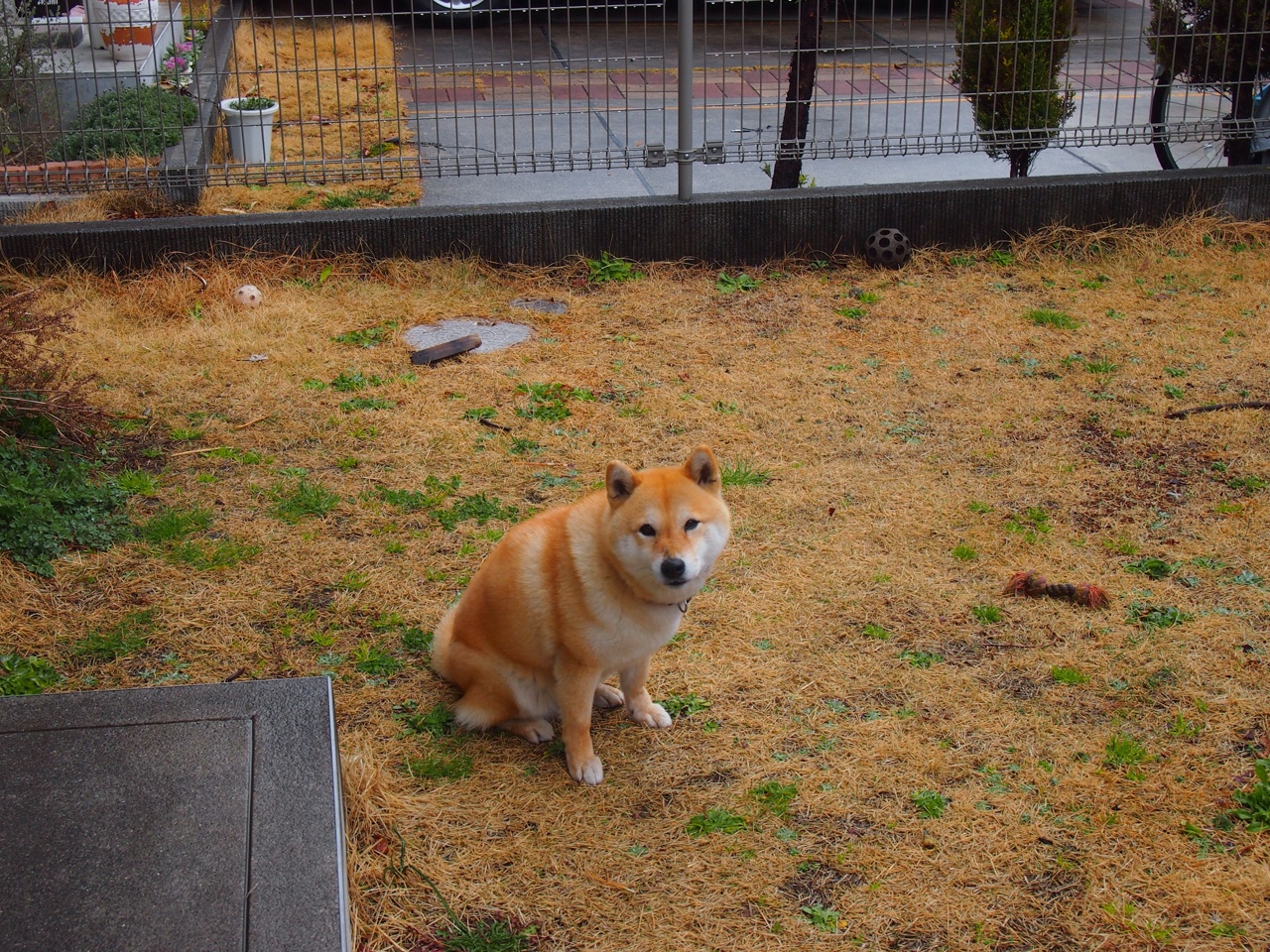 铁血鏖战毕尔巴鄂，戈麦斯一锤定音，乌拉圭诠释南美坚韧