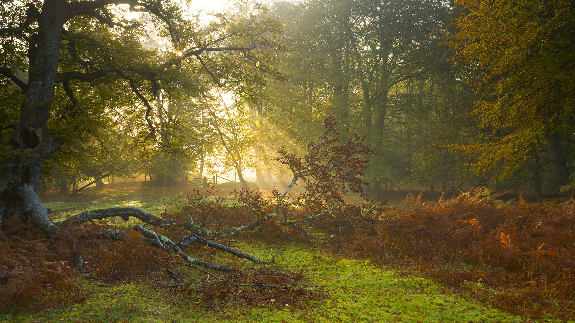 范戴克穿越时空？南非神秘力量全面压制多特蒙德，利物浦铁卫竟在NBA总决赛接管比赛