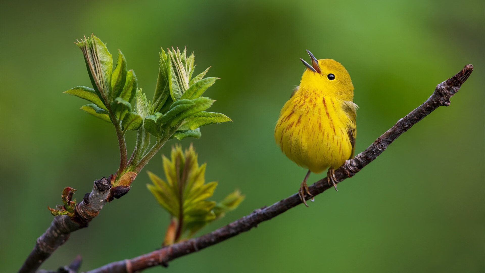 从托蒂的点球到萨拉赫的野心，足球世界的传承与更迭