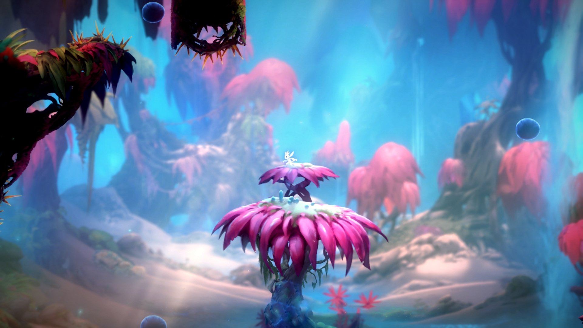 阿坎吉关键先生一锤定音，曼城战术破局提前终结悬念