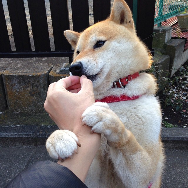 开云体育APP下载-时钟滴答，霍勒迪指尖终结悬念—灰熊单节轰出11分差定乾坤