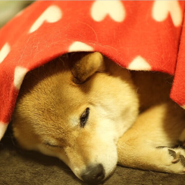 状元之盾，班凯罗窒息防守定乾坤，魔术加时险胜热火