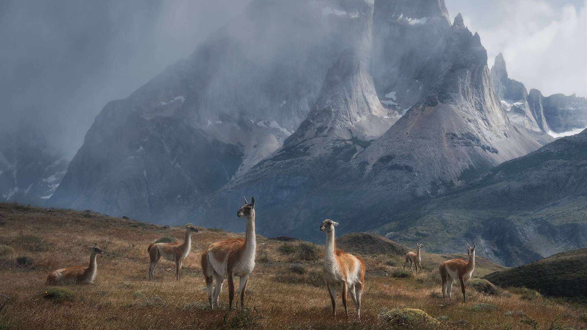 当76人跨越太平洋对阵辽宁队，西亚卡姆狂砍38分，完成一次跨越大洋的篮球幻想