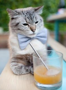 中投如时钟，杜兰特成魔术对阵尼克斯的定海神针