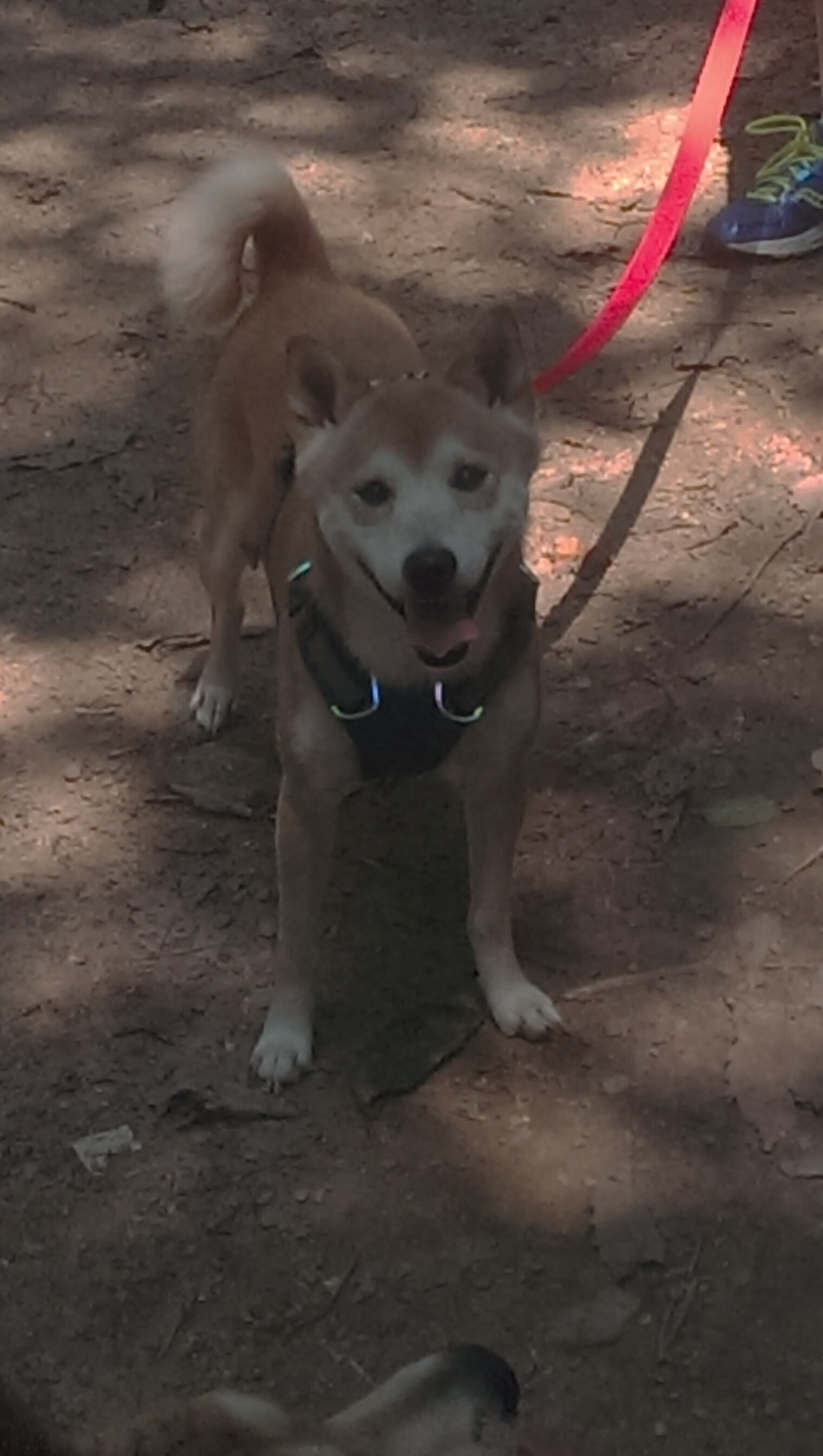 排位战争，马克西撕开勇士迷宫，76人打穿西部堡垒