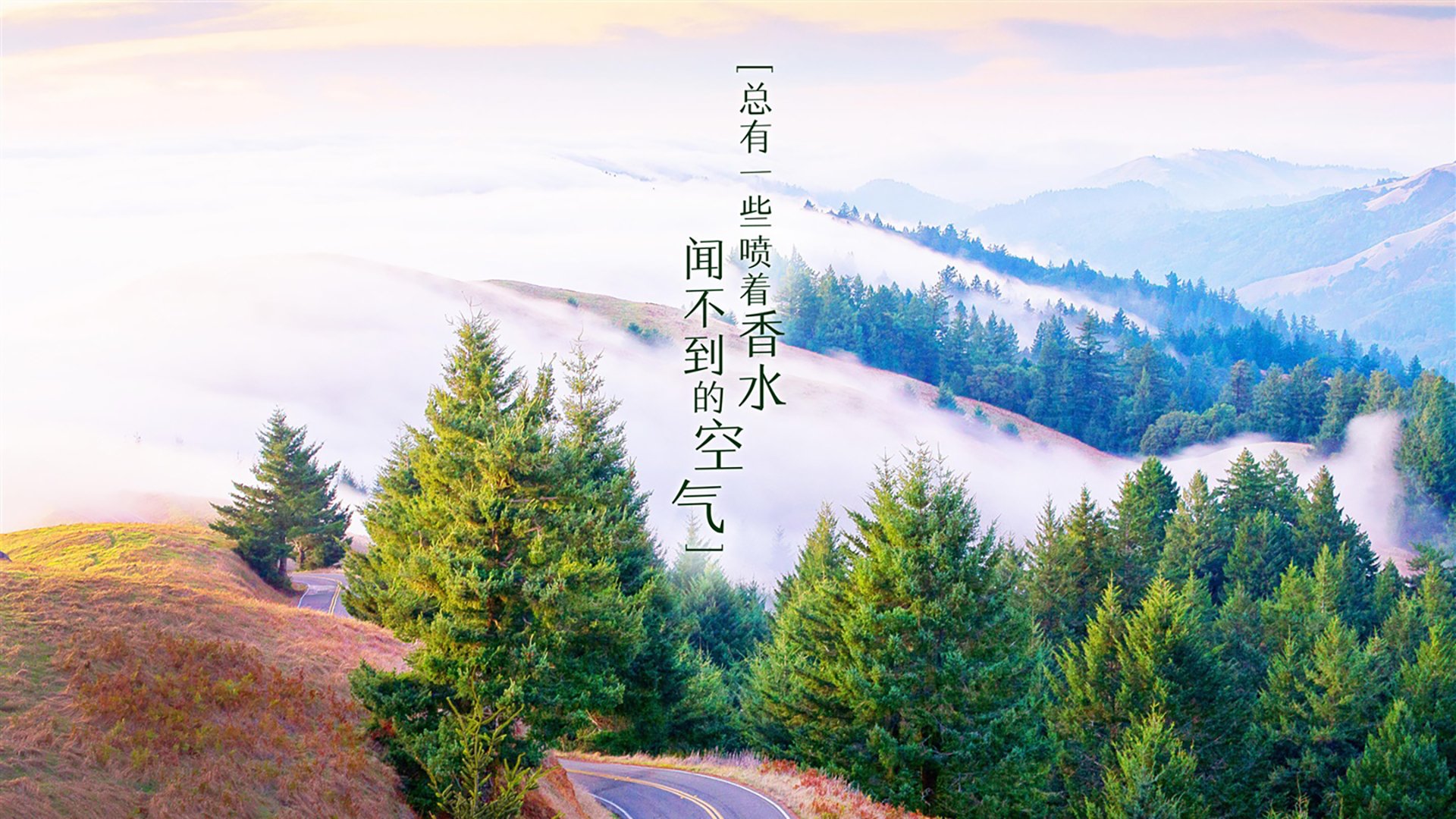 黄潜艇锁定胜局!罗德里一传一射奠定乾坤