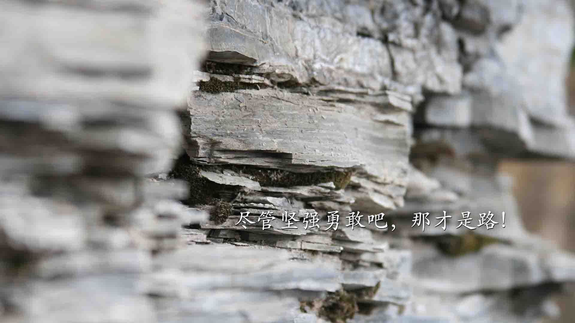 红魔风暴席卷法兰西,2026世界杯揭幕战,齐耶赫化身蓝月亮,比利时6-1横扫高卢雄鸡