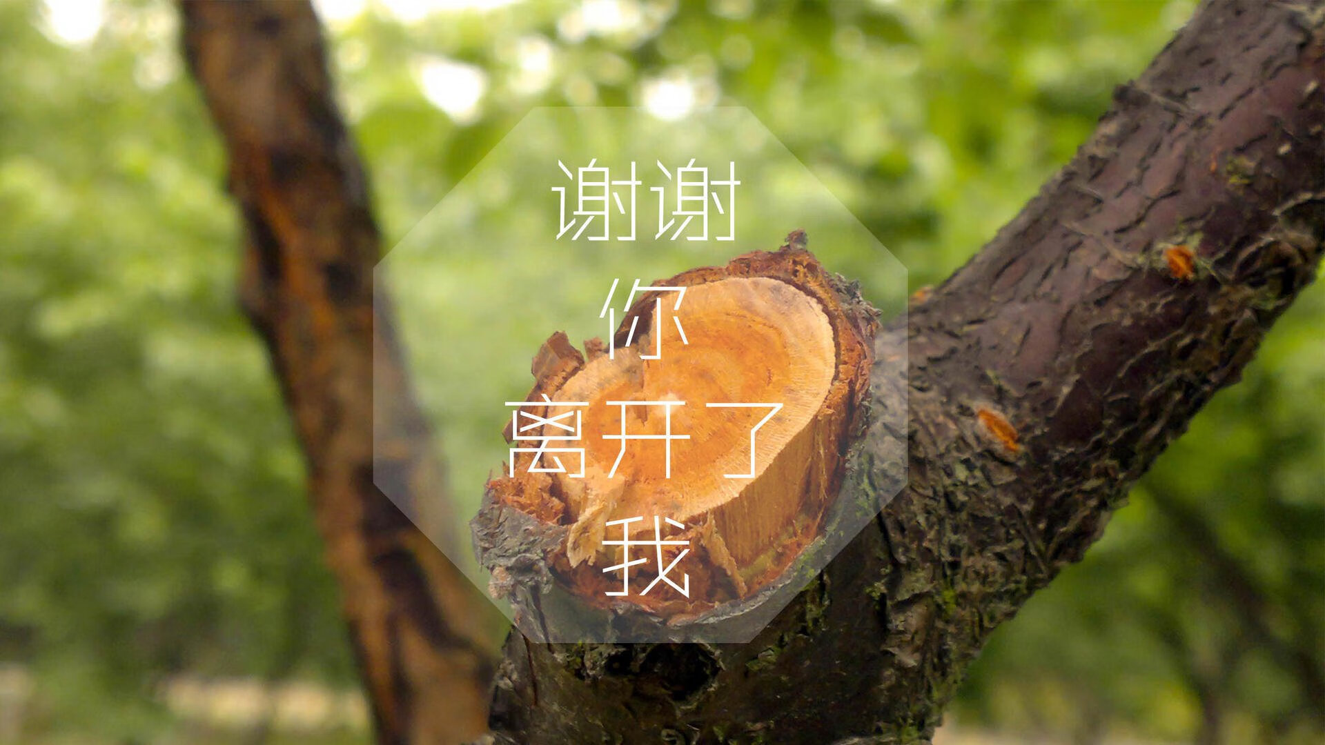 首先,请允许我为您构思一个兼具史诗感与悬疑性的标题