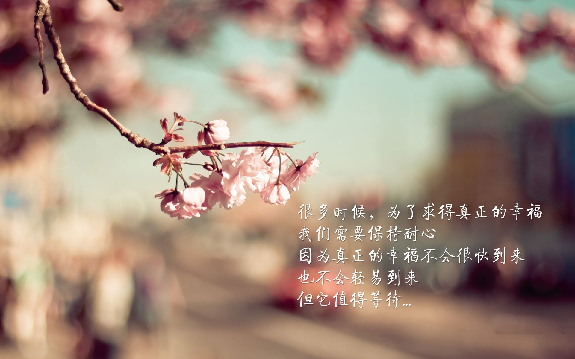 唯一的光照向F组,美国破智利之夜,萨内如何定义不可复制