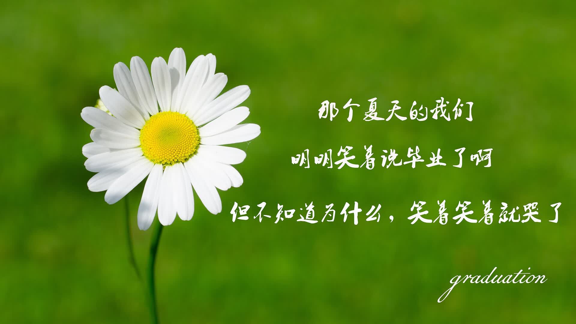 彗星撞击，加维点燃F组死亡之组，匈牙利以一剑封喉书写新传奇