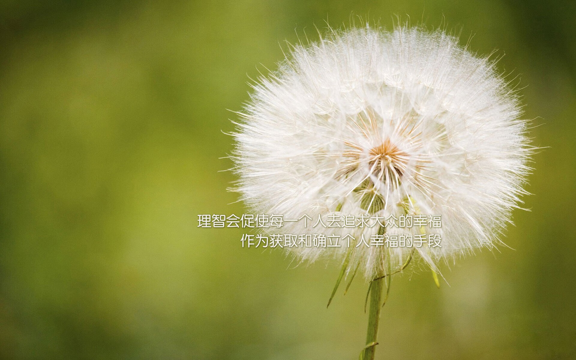 暗夜图腾，齐耶赫点燃冰与火之歌，罗马尼亚在2026世界杯E组书写唯一逆转神话