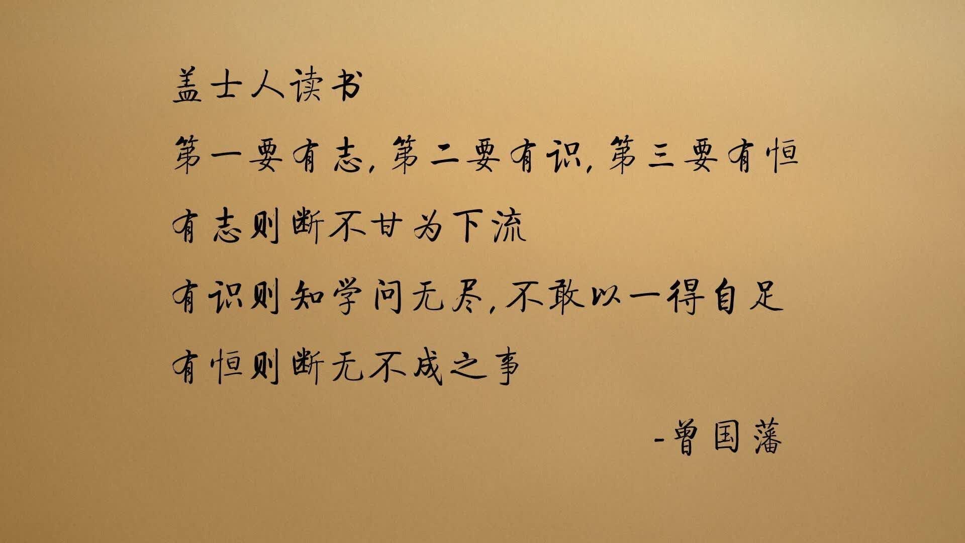 2026世界杯复仇之战，意大利中场铁幕横扫印度，B费独木难支却闪耀全场